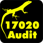 17020-Audit
